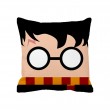 PF-002_Cojines_Harry Potter_Harry Potter