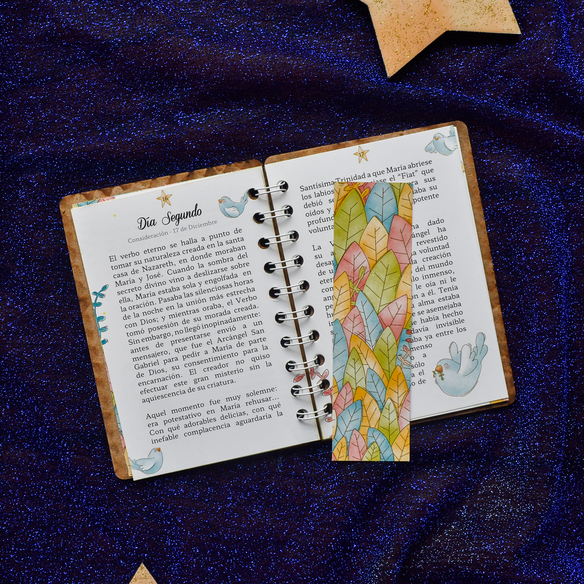 Novena Tradicional de Agüinaldos